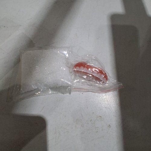 ORALHOE GLIDEWELLPD PREMIUM DENTURE - 50G image 2