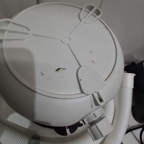 INTEX SX1500 KRYSTAL CLEAR SAND FILTER PUMP FOR ABOVE GROUND POOLS - 1500GPH (MODEL: 26643EG) image 4