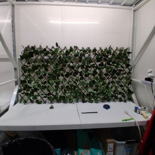 WINDSCREEN4LESS ARTIFICIAL EXPANDABLE IVY LEAF FAUX LEAVES PRIVACY FENCE SCREEN FOR INDOORS/OUTDOORS - 18"-48" X 18"-116" - GREEN/BROWN image 2