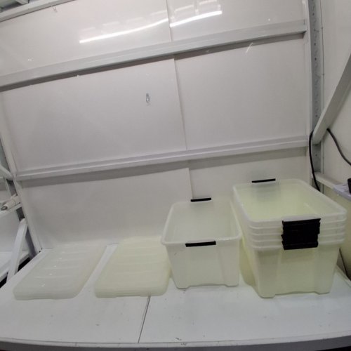 6PK IRIS STORAGE BINS WITH LIDS - 12 L - PEARL (MODEL: 200411) image 2