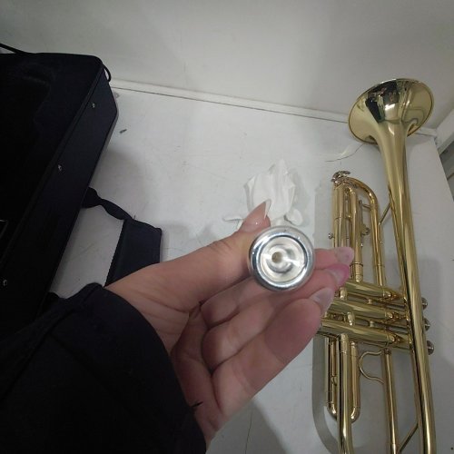 EASTAR GOLD TRUMPET BRASS ETR-380 STANDARD BB TRUMPET SET FOR STUDENT BEGINNER WITH HARD CASE, 7 C MOUTHPIECE, VALVE OIL AND TRUMPET CLEANING KIT image 3