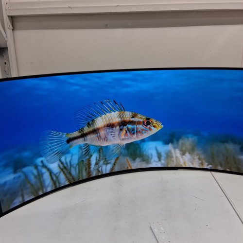 LG ULTRAGEAR OLED CURVED SMART GAMING MONITOR - WQHD 3440 X 1440, 240HZ, 0.03MS - 45" - BLACK (MODEL: 45GX90SA) image 12