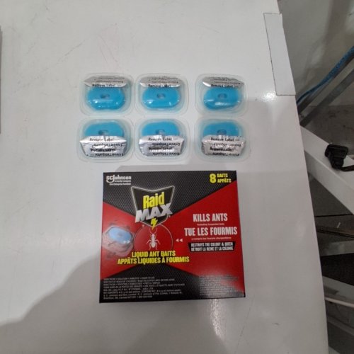 14PK RAID MAX LIQUID ANT BAIT TRAPS - CLEAR/BLUE (MODEL: 1997885) image 2