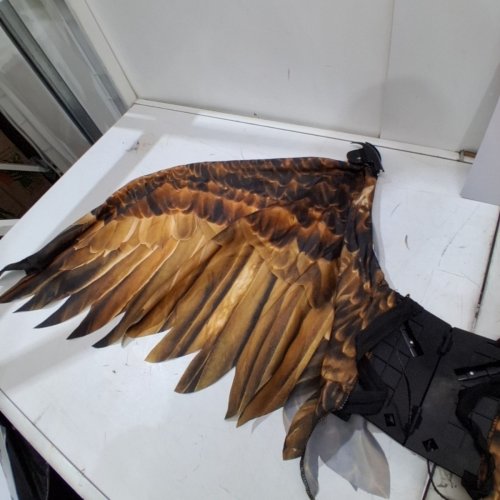 ADULT CALIFORNIA COSTUME COLLECTIONS EAGLE WINGS COSTUME ACCESSORY - OSFM - BROWN (ITEM: 6225-128) image 4
