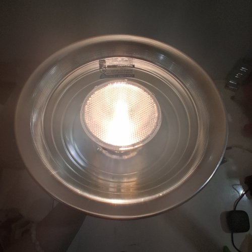 SIMPLE DELUXE ALUMINUM REFLECTOR CLAMP LAMP - 8.5" REFLECTOR, 150W, 6FT CORD - SILVER/BLACK image 2