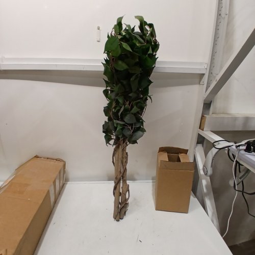 NEARLY NATURAL FICUS ARTIFICIAL TREE - 5FT image 2