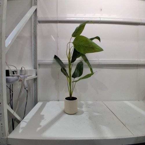DRACAENA ARTIFICIAL DECORATIVE PLANT - 3.5FT - GREEN / WHITE image 3
