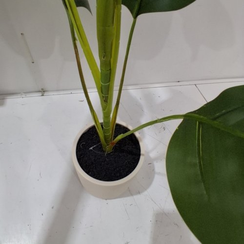 DRACAENA ARTIFICIAL DECORATIVE PLANT - 3.5FT - GREEN / WHITE image 4
