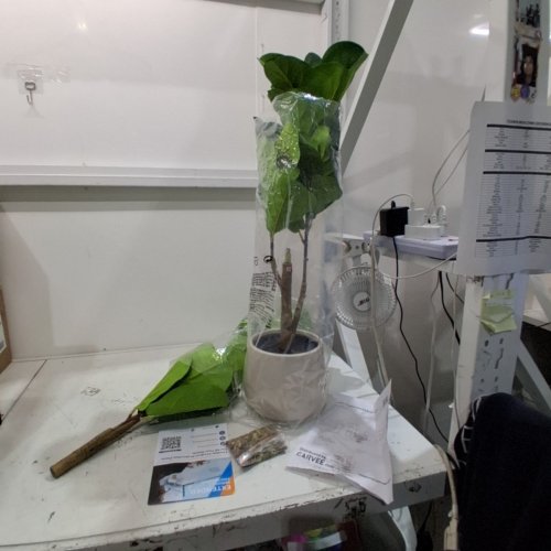 GARVEE ARTIFICIAL TREE - 4FT -GREEN (MODEL: PHK_359KUCFN) image 2