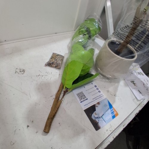 GARVEE ARTIFICIAL TREE - 4FT -GREEN (MODEL: PHK_359KUCFN) image 3