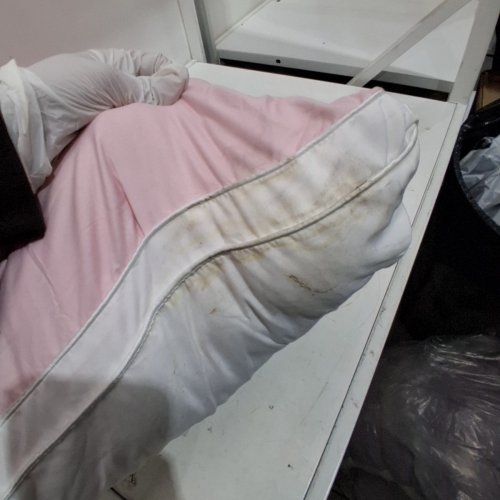 2PK MELLOW PLOOF PILLOW - KING, 20" X 36" - PINK ROSE image 3