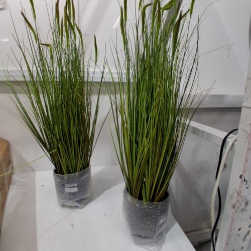 2PK VEVOR ARTIFICIAL CATTAIL REED GRASS WITH POT - 3FT - GREEN/WHITE (MODEL: D463B01) image 2