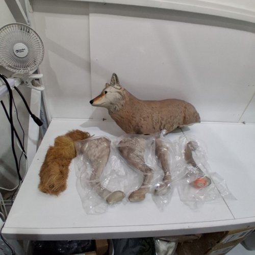 FLAMBEAU MASTERS SERIES LONE HOWLER COYOTE DECOY - 26" image 2