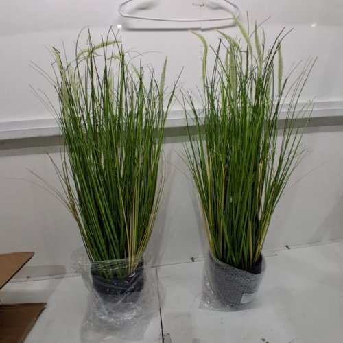 2PK ARTIFICIAL CATTAIL REED GRASS WITH POT - 3FT - GREEN/WHITE (MODEL: D463B01) image 2