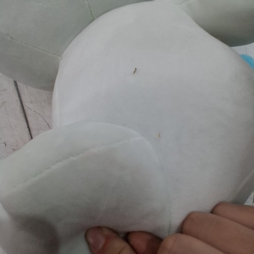 POKEMON PLUSH QUAXLY TOY - 24" - WHITE / BLUE image 3
