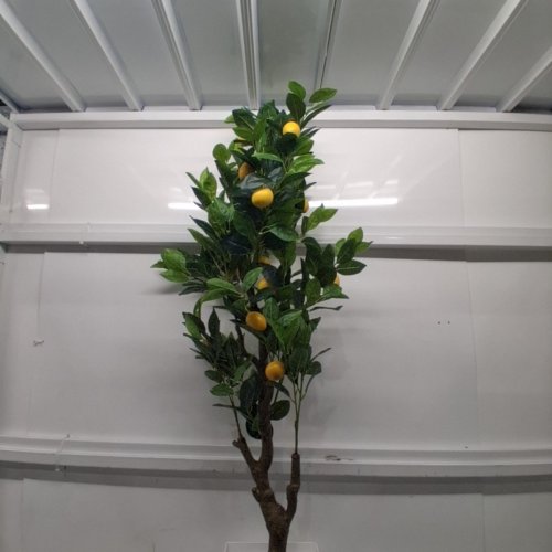 PHYTREE ARTIFICIAL LEMON TREE - 5FT image 4