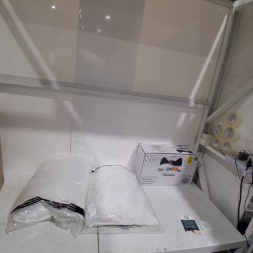 2PK ORIGINAL SQUISHMALLOWS STANDARD SIZE SOFT DENSITY BED PILLOW AND ULTRA SOFT COVER - WHITE (ITEM: SQPL00293) image 3