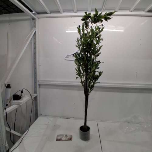 INDOOR ARTIFICIAL OLIVE TREE - 5FT - BROWN/GREEN image 2