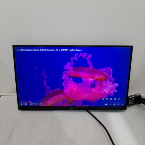 LG IPS FULL HD MONITOR WITH AMD FREESYNC - 100HZ - 21.5" - BLACK (MODEL: 22MS31W) image 3