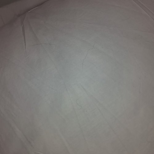 2PK WYNREST FIRM DOWN CLUSTER PILLOW - 20" X 36" - WHITE image 3