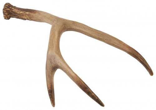 WHITE RIVER HOME ANTLER TABLE DECOR - 14.8" X 3.4" X 7.5" - METALLIC BROWN MULTI (MODEL: PR1762983BPS) image 2