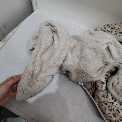SHERPA LINED HEATED BLANKET WITH 4 HEAT SETTINGS - FULL - CHEETAH PRINT (MODEL: WDJ-EBA-BL-FF) image 6