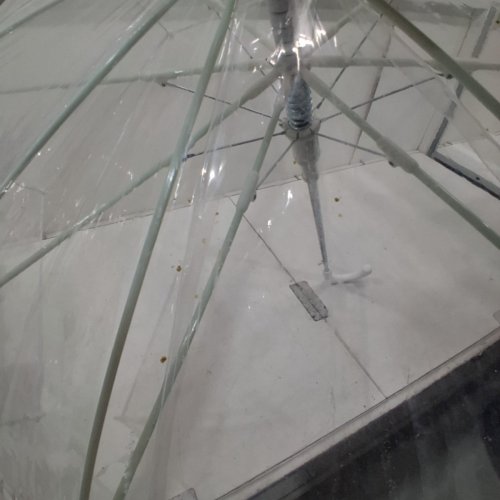 BUBBLE UMBRELLA - 32" - CLEAR/WHITE image 3