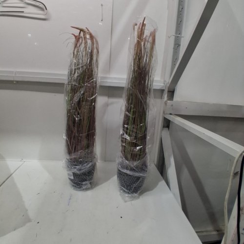 2PK KOL ARTIFICIAL CATTAIL GRASS DECORATIONAL PLANTS WITH PLANTER - 3FT - PINK/BLACK POT (MODEL: ‎D463B03) image 2
