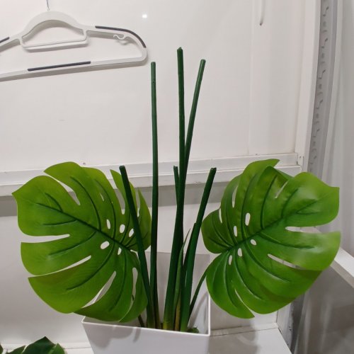 ASTIDY ARTIFICIAL MONSTERA DELICIOSA PLANT WITH VASE -5FT - WHITE - (MODEL:AM5W) image 3