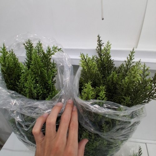 2PK VITALISMO ARTIFICIAL TOPIARY CEDAR TREES - 4FT - GREEN image 4