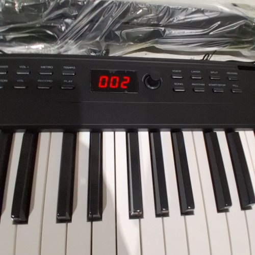 ALESIS RECITAL PLAY 88-KEY KEYBOARD PIANO WITH 480 SOUNDS, SPEAKERS, USB MIDI, CARRY-BAG, STAND, FOR BEGINNERS - BLACK image 2