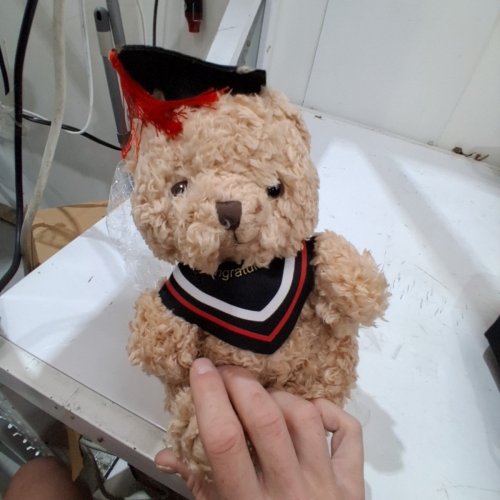 UNBRANDED GRADUATION TEDDY BEAR "CONGRATULATIONS" - 9" - BEIGE BLACK AND RED image 3
