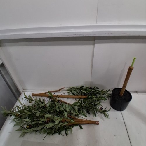 KAZEILA ARTIFICIAL PLANTS FAKE DECORATIVE OLIVE TREE - 5FT (MODEL: 5214MC0936) image 2