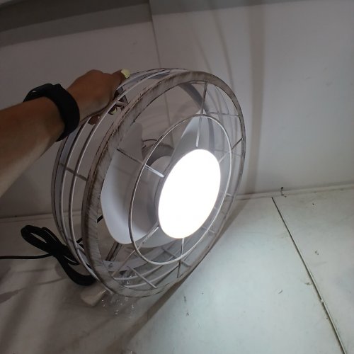 PHYLLUZ PLUG-IN OUTDOOR CEILING FAN LIGHT - 16" - RUSTIC WHITE (MODEL:GLX132-16D) image 2