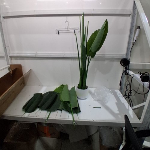 CROSOFMI ARTIFICIAL BIRD OF PARADISE PLANT - 6FT image 2