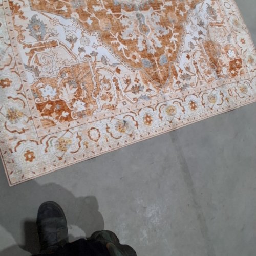 ORNAMENTAL AREA RUG - 9FT X 6FT - CREAM, TAN, BROWN AND BLUE image 6