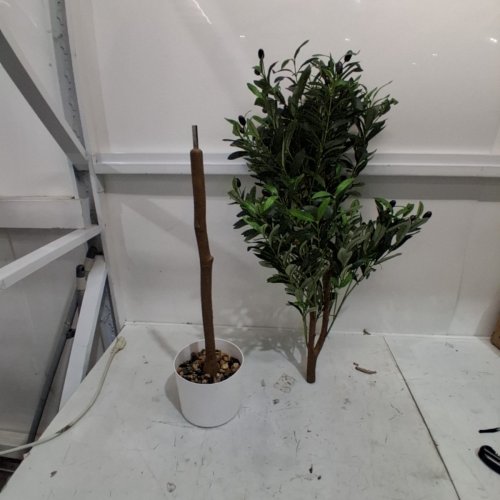 SCHENKERO ARTIFICIAL OLIVE TREE WITH POT - 5FT - GREEN/WHITE image 2