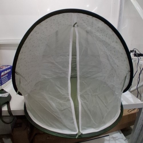 BABY MOOV COLLAPSIBLE FOLDABLE ANTI-UV TENT WITH VELCRO DOOR AND CARRY BAG - 36" X 34" X 39" - UPF 50+ - GREEN & WHITE image 2