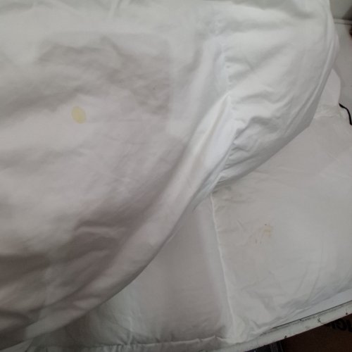 WARMTH BRINGS LOVE BEDDING COTTON DUVET WITH CARRY BAG - QUEEN - WHITE image 3