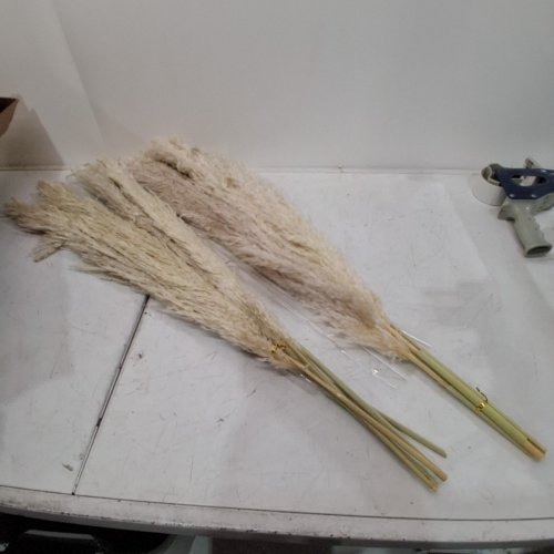 10PC DECRETIVE POMPAS GRASS FOR BOUQUETS - 46" - BEIGE image 2