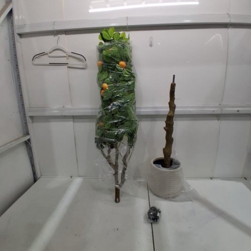 GARVEE INDOOR PRE POTTED ARTIFICIAL LEMON TREE - 6FT - GREEN (MODEL: PHK_33YKLM3A) image 4