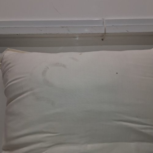 HEARTH & HAND WITH MAGNOLIA TRELLIS PATTERN EURO BED PILLOW - 26" X 26" - CREAM image 5