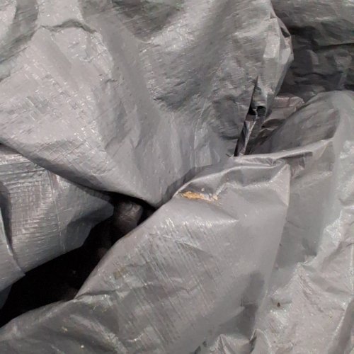 COLEMAN CAMPING TENT | SKYDOME TENT image 3