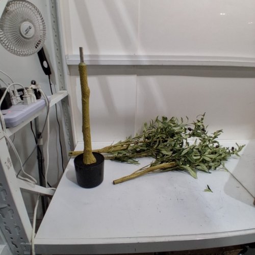 BELLACAT ARTIFICIAL PLANT FAKE DECORATIVE OLIVE TREE - 6FT - BROWN/GREEN (MODEL: FAUXTOLIVE2503) image 2