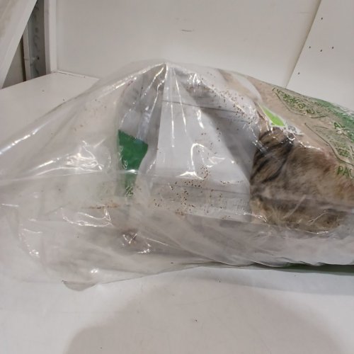 NATURE'S MIRACLE CLUMPING CORN COB KITTY LITTER - 8.2KG/18LBS image 3