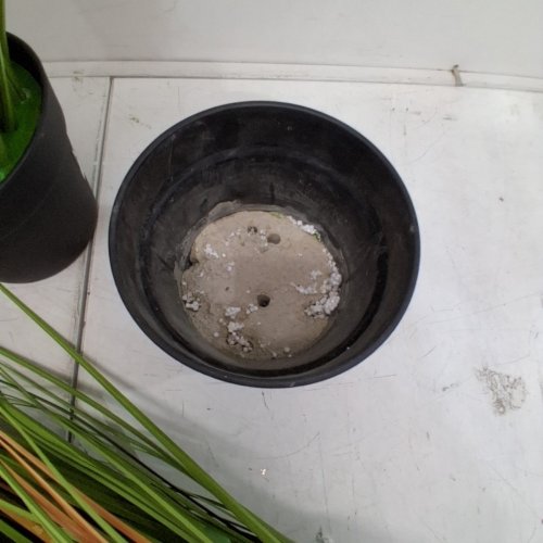 2PK VEVOR ARTIFICIAL CATTAIL REED PLANT IN PREMIUM POT - 35" - GREEN (MODEL:SS006) image 3