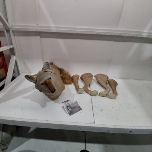 FLAMBEAU LONE HOWLER COYOTE DECOY (5985MS-1) image 2