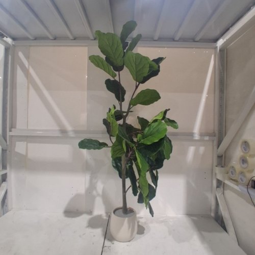 TXABL ARTIFICAL FIDDLE LEAF FIG TREE - 5FT - GREEN / WHITE image 2