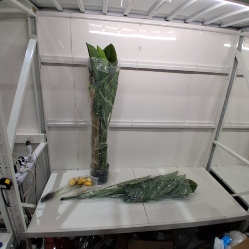SOLUTION4PATIO 6FT ATRIFICIAL BANANA TREE (MODEL: D418A01) image 2