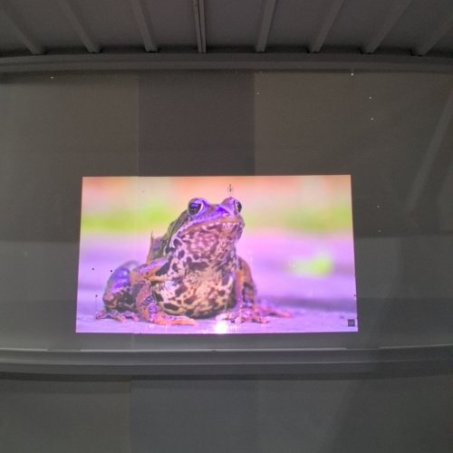 LG CINEBEAM Q - SMALL 4K UHD PROJECTOR | UP TO 120-INCH SCREEN SIZE WITH RGB LASER, BLUETOOTH AUDIO DUAL OUT, 3W SPEAKER, SMART WEBOS, AUTO SCREEN ADJUSTMENT (MODEL: PU600U) image 8